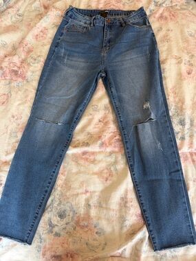 Fashion Nova Medium Blue Ripped Skinny Jeans